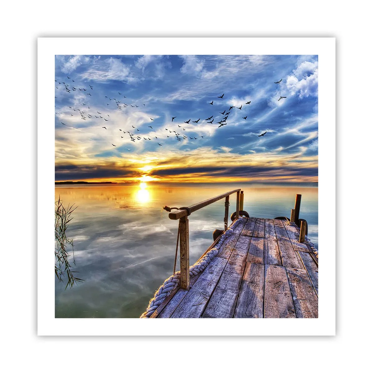 Affiche - Poster - Le vent se repose - 60x60 cm