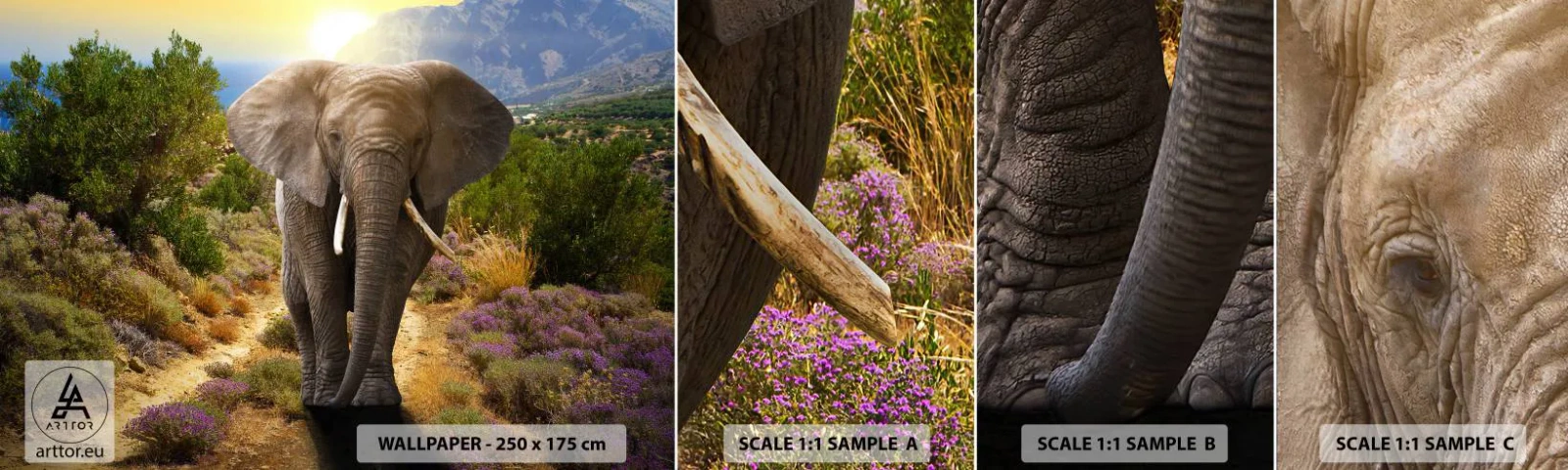 Échantillon de Papier Peint Autocollant Deluxe Sticker - Voilà à quoi ressemblait l'Eden - Animaux, Éléphant, Safari - 100x30 cm