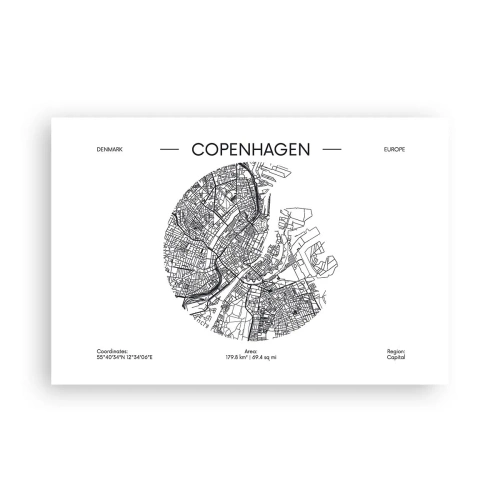 Affiche - Poster - Anatomie de Copenhague - 91x61 cm