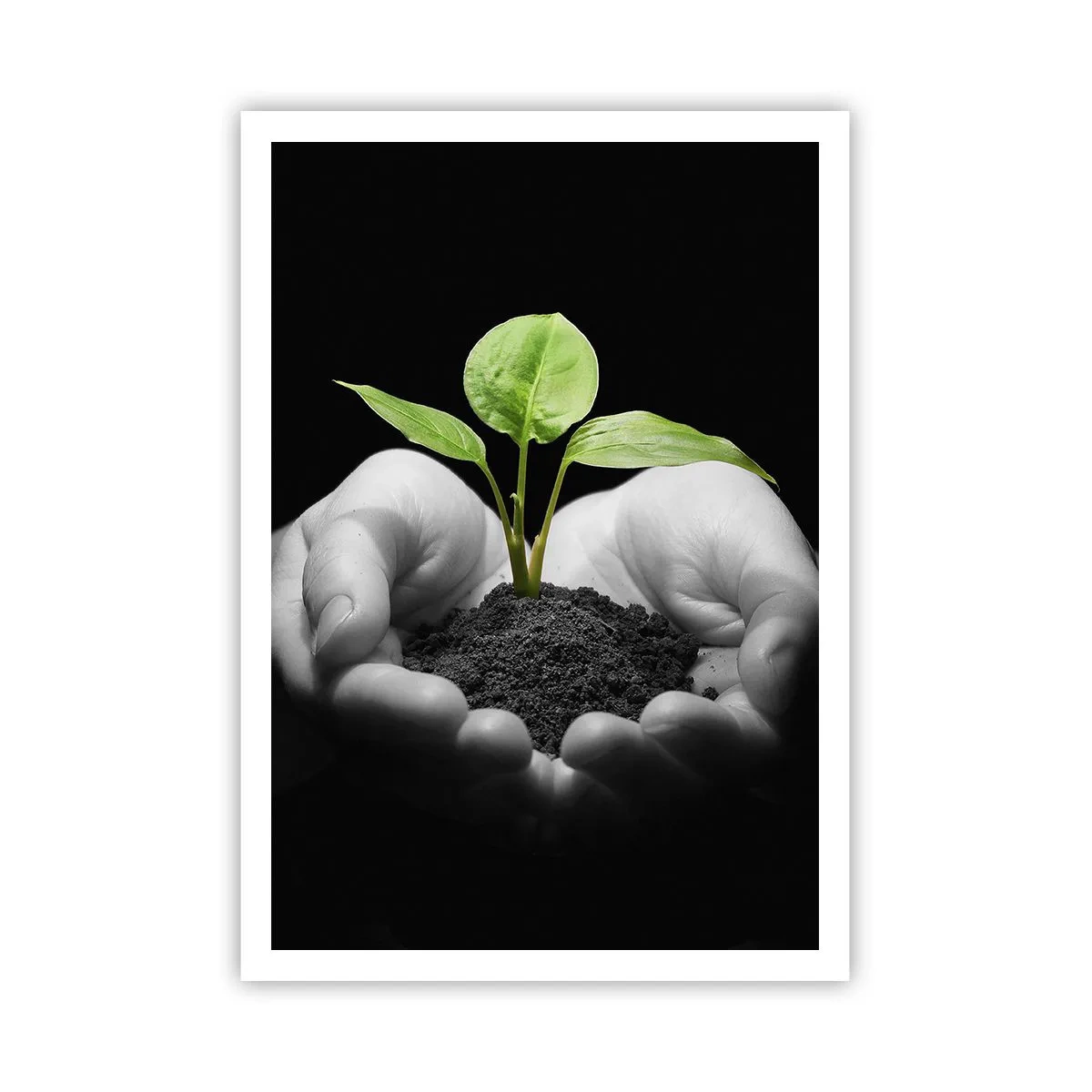 Affiche - Poster - J'aime la nature, je la protège - 70x100 cm