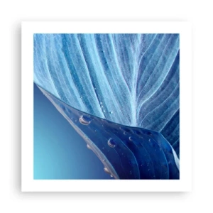 Affiche - Poster - Gouttes cachées du bleu - 50x50 cm