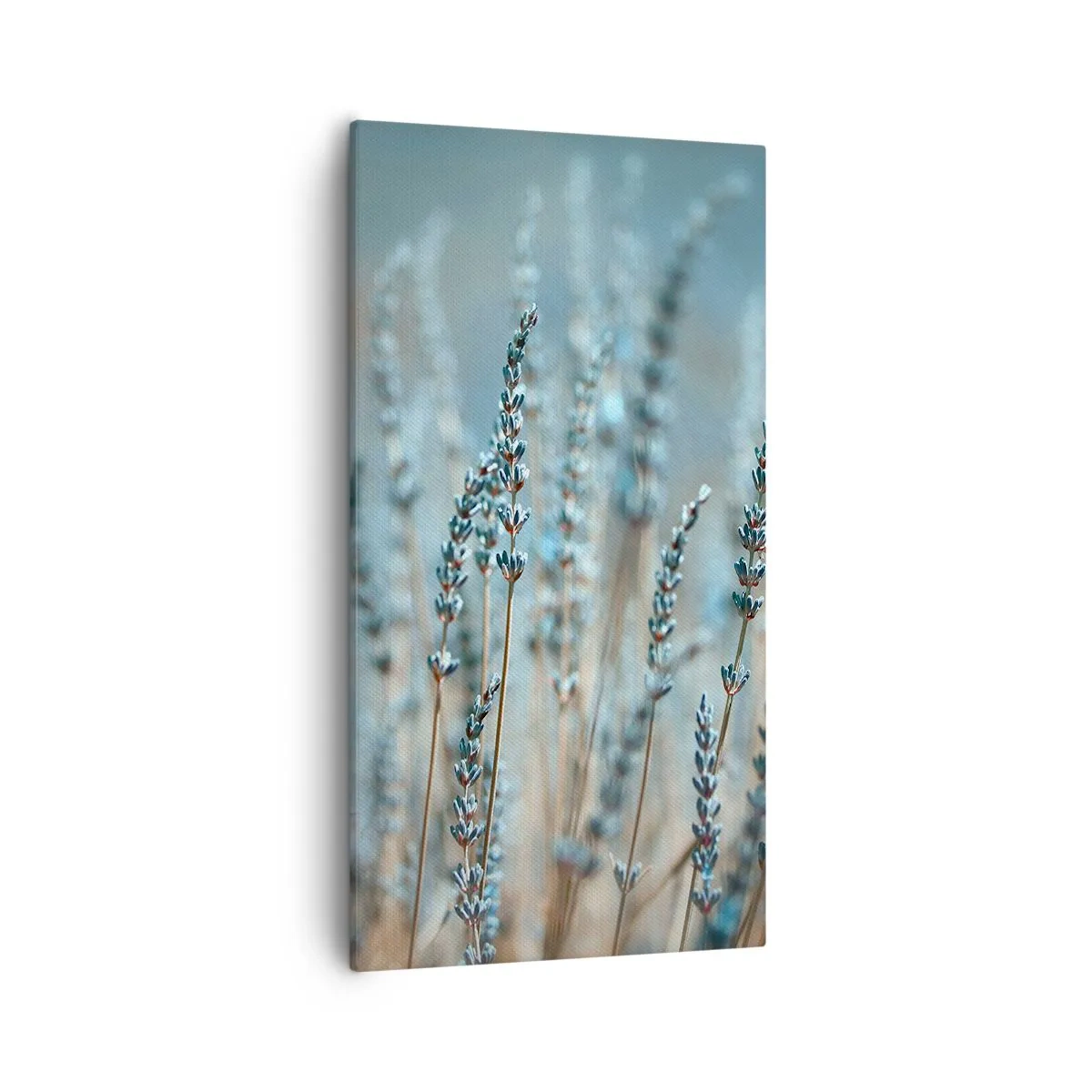 Impression sur toile - Image sur toile - Tige odorante - 55x100 cm