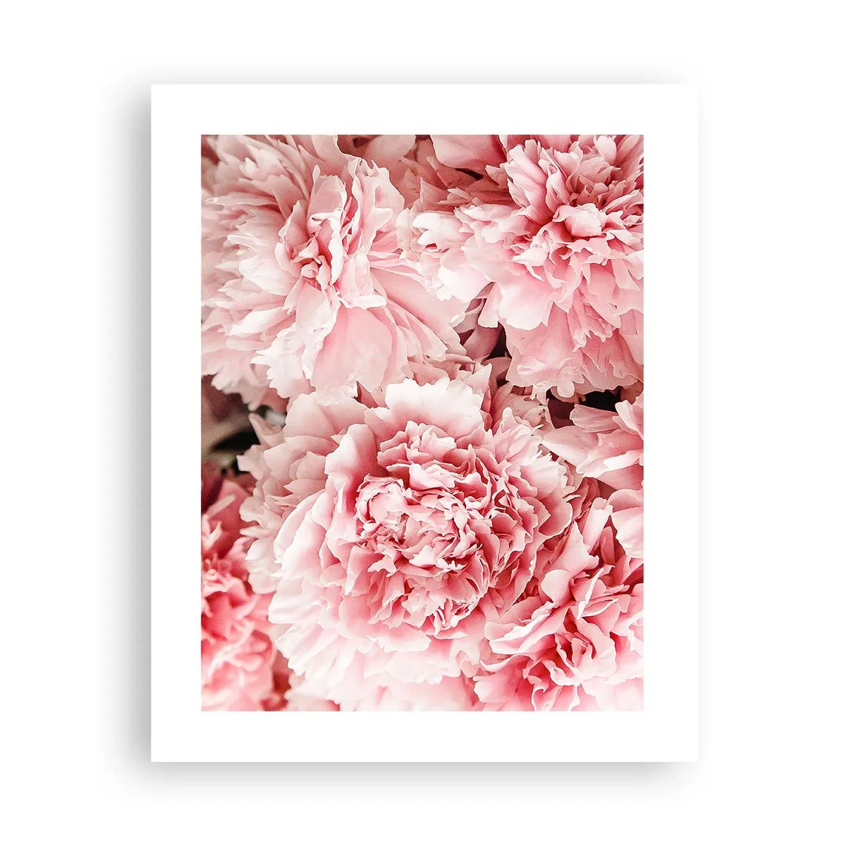 Affiche - Poster - Rêve rose - 40x50 cm