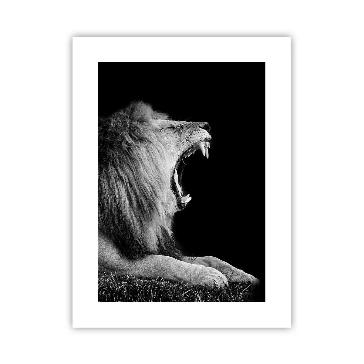 Affiche - Poster - Sans aucun doute - 30x40 cm