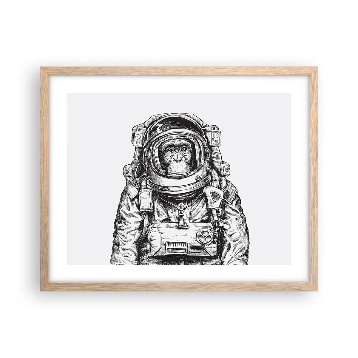 Affiche dans un chêne clair - Poster - Évolution alternative - 50x40 cm