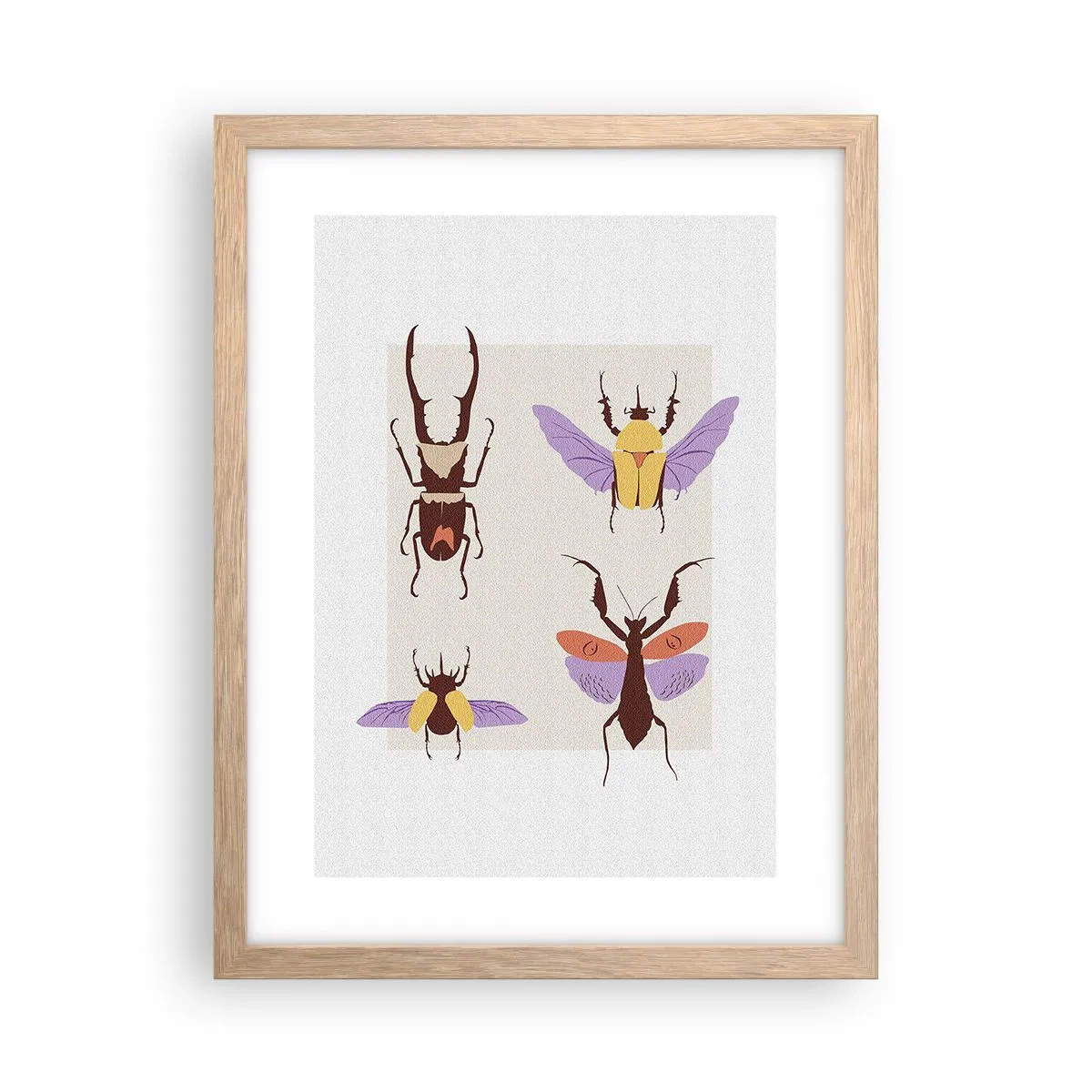 Affiche dans un chêne clair - Poster - Le monde des insectes - 30x40 cm