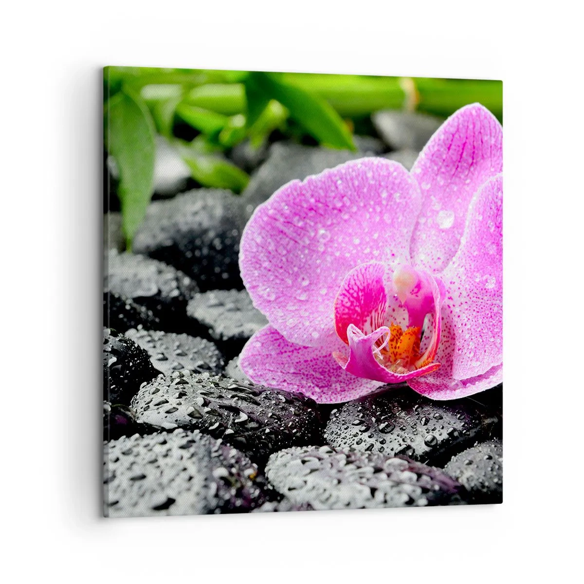Impression sur toile - Image sur toile - Comme un coeur ouvert - 50x50 cm