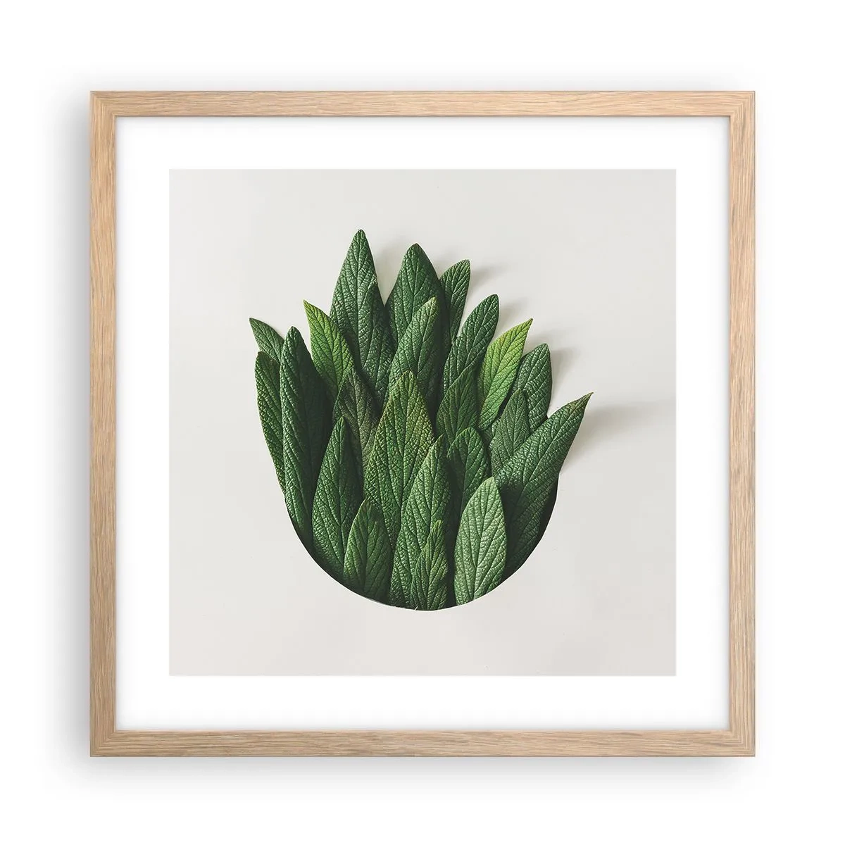 Affiche dans un chêne clair - Poster - Curiosité sans retenue - 40x40 cm