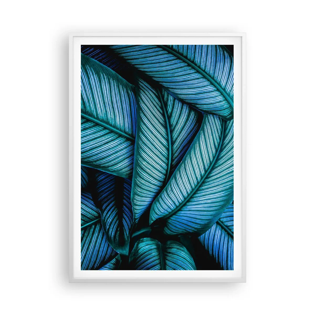 Affiche dans un cadre blanc - Poster - Lignes de vie - 70x100 cm