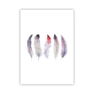 Affiche - Poster - Plumes colorées sur fond blanc dans un style délicat - 50x70cm - Délicat comme un brouillard multicolore - Décoration murale moderne pour le salon et la chambre ARTTOR
