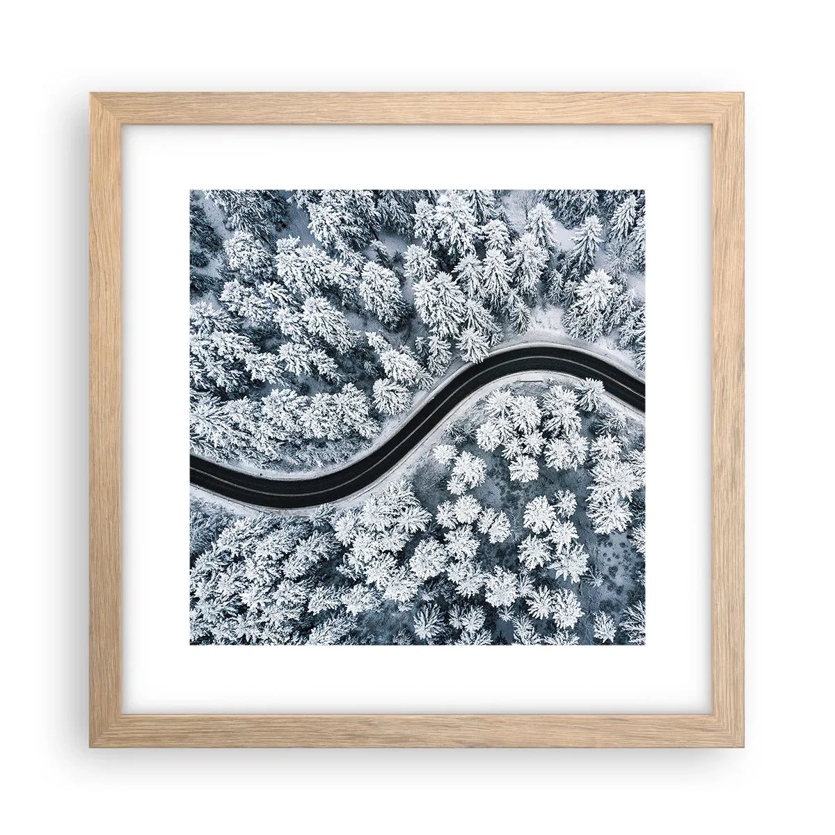 Affiche dans un chêne clair - Poster - À travers une forêt d'hiver - 30x30 cm