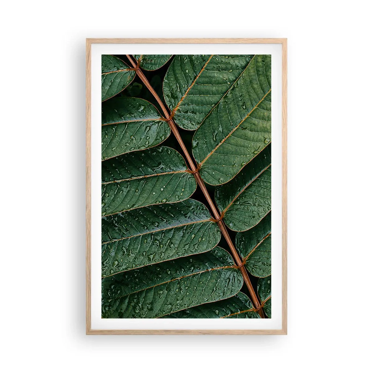 Affiche dans un chêne clair - Poster - Au rythme de la verdure - 61x91 cm
