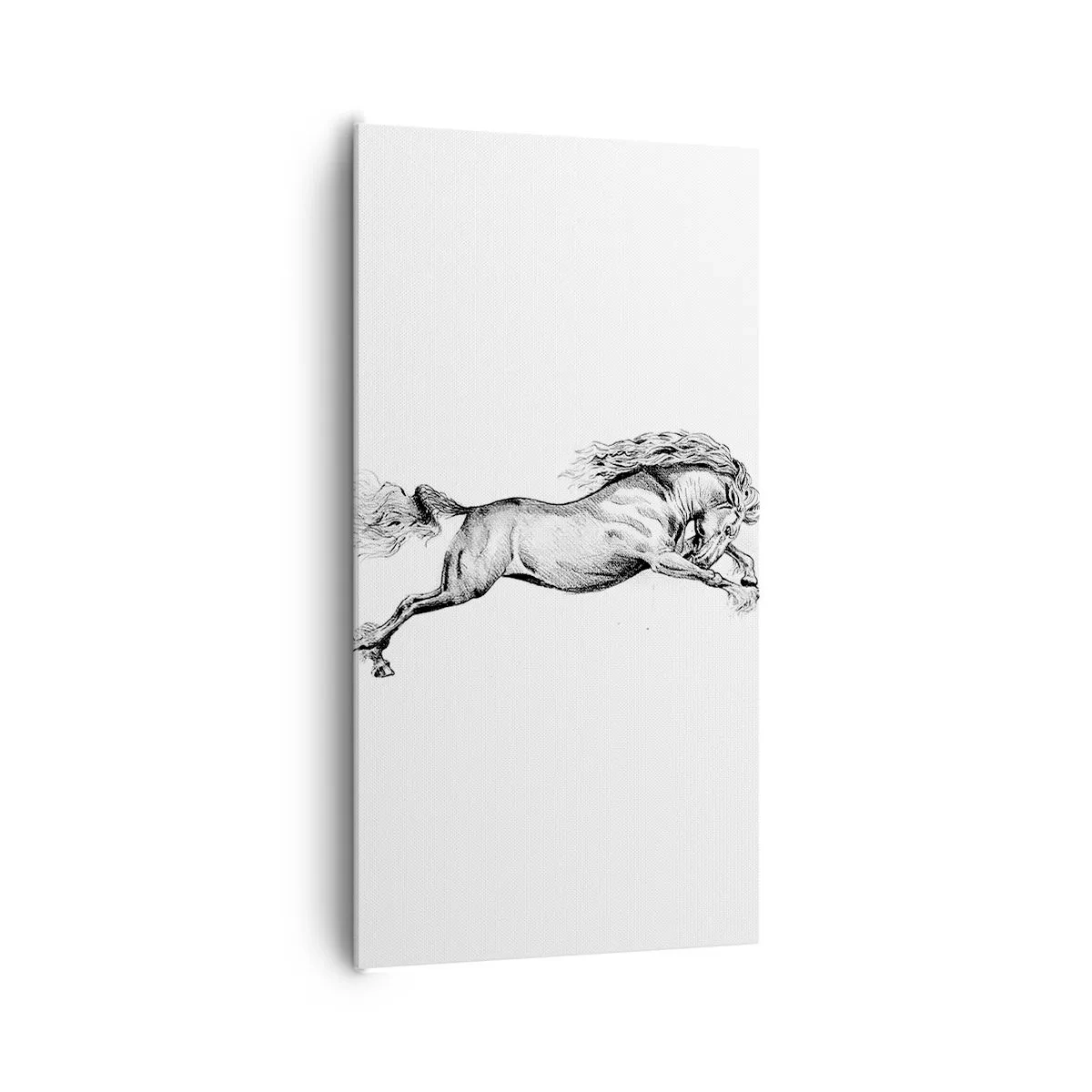 Impression sur toile - Image sur toile - Immortalisé au galop - 65x120 cm