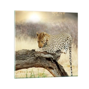 Impression sur verre - Image sur verre - Je suis ma propre route - 30x30 cm