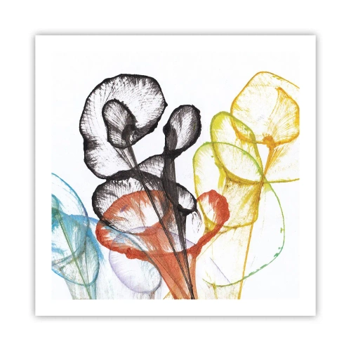 Affiche - Poster - Fleurs avec une âme - 60x60 cm