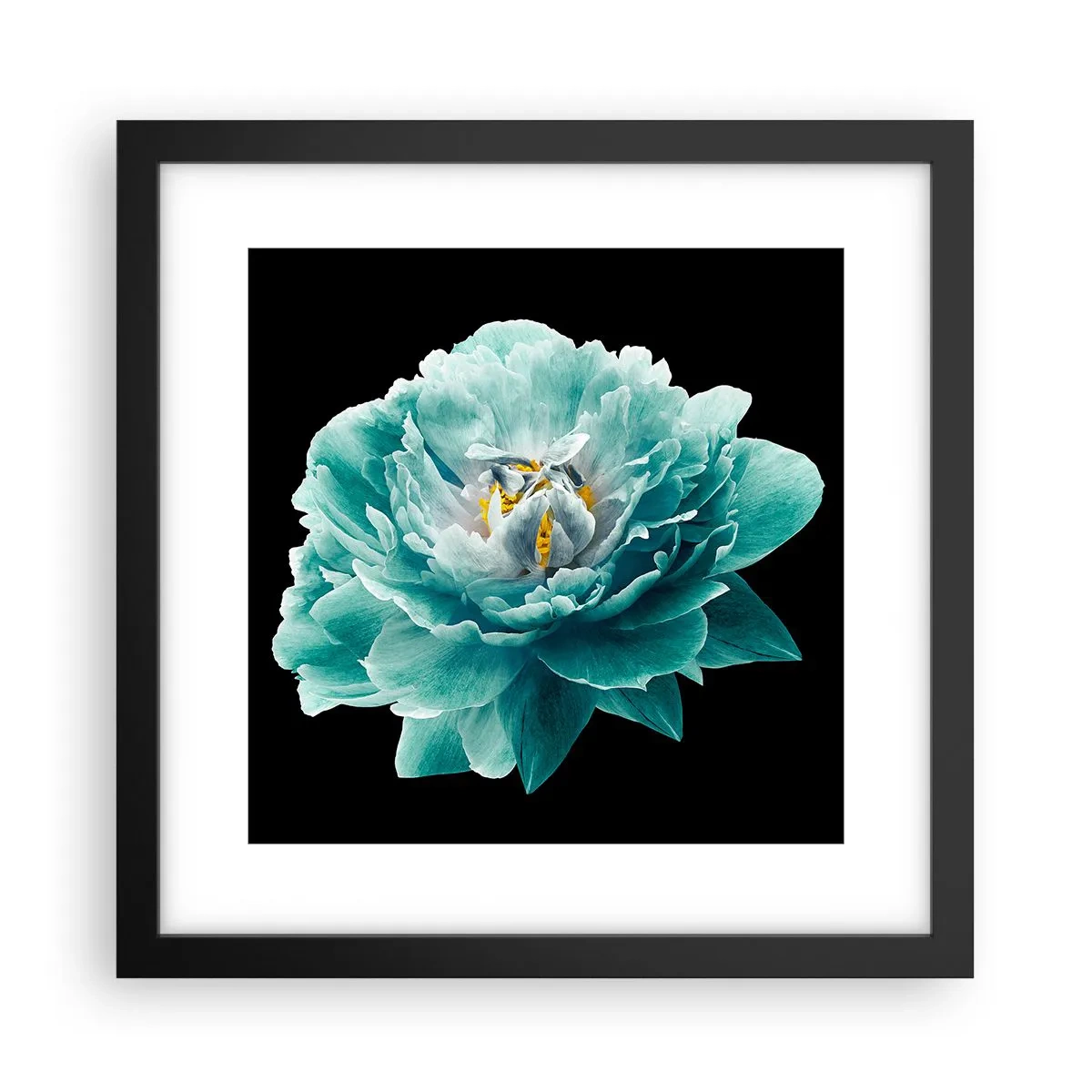 Affiche dans un cadre noir - Poster - Pétales bleus et dorés - 30x30 cm
