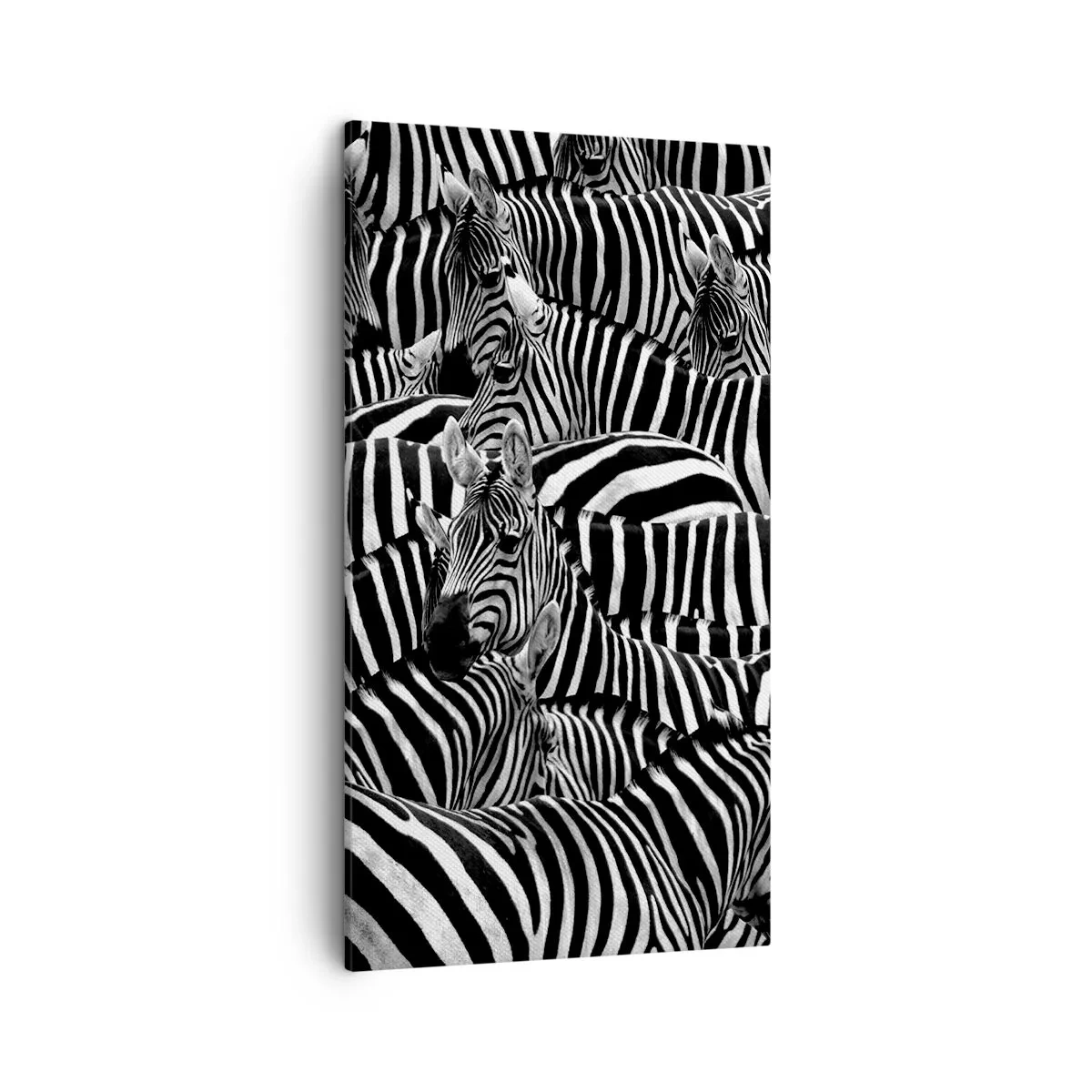 Impression sur toile - Image sur toile - Portrait collectif à rayures - 45x80 cm