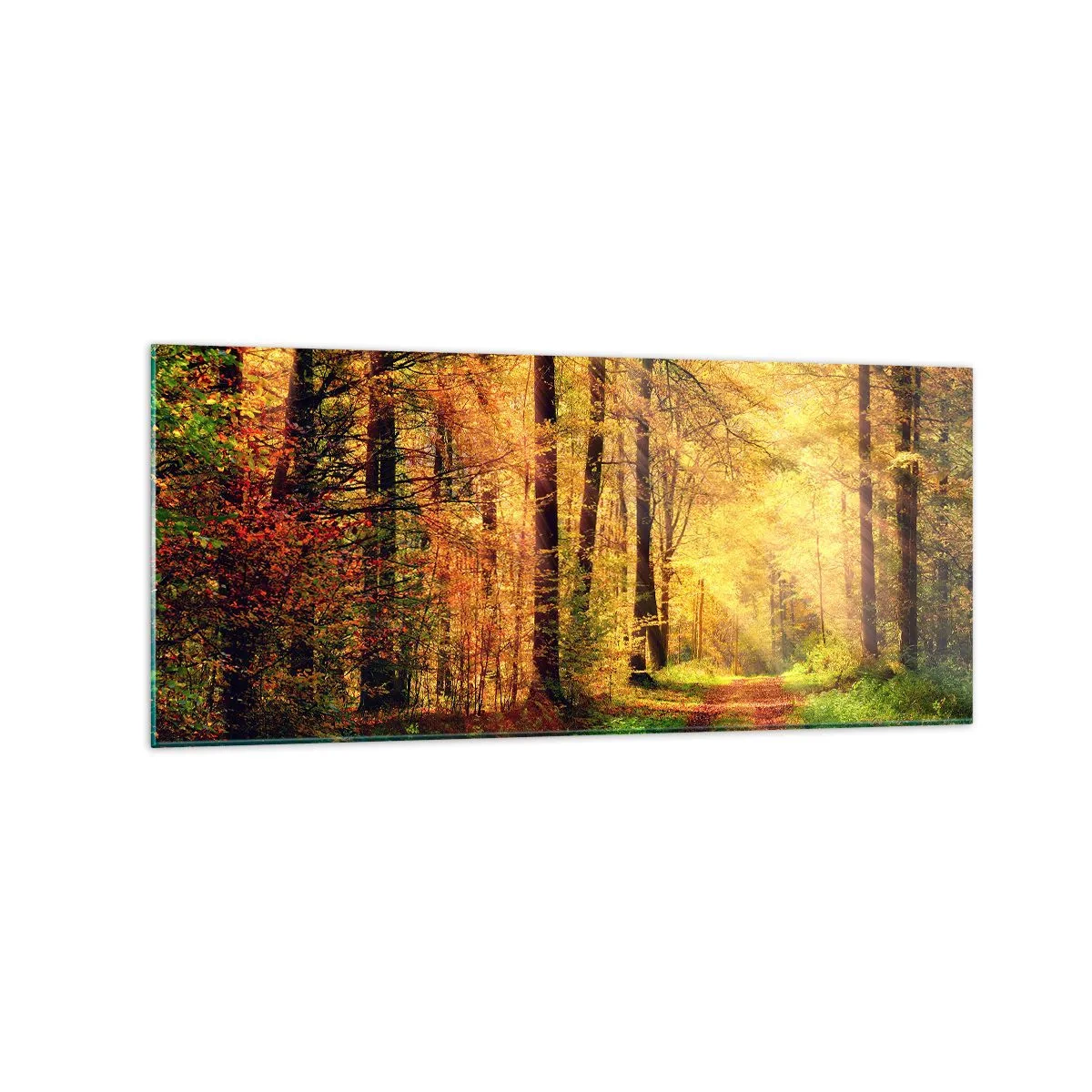 Impression sur verre - Image sur verre - Un chemin forestier entouré d'arbres dorés et verts - 120x50cm - Silence d'or en forêt - Décoration murale moderne pour le salon et la chambre ARTTOR