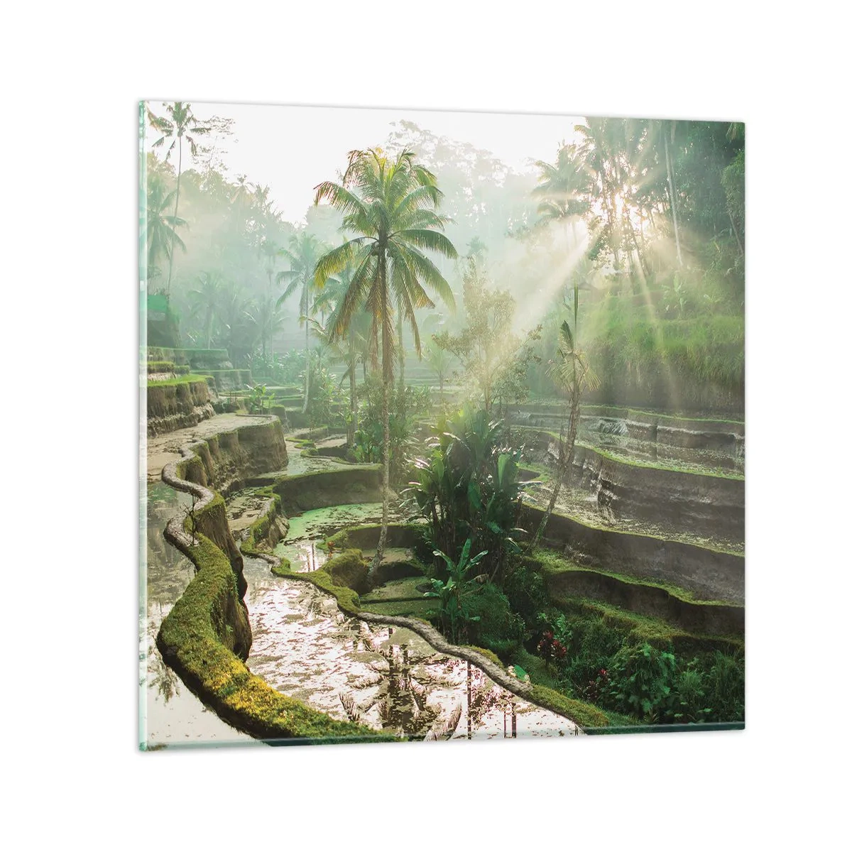 Impression sur verre - Image sur verre - Grandir au soleil - 30x30 cm