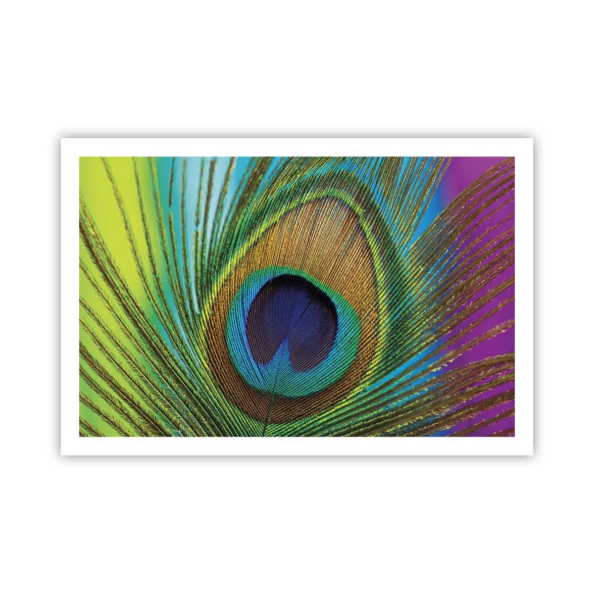 Affiche - Poster - Les yeux dans les yeux - 91x61 cm