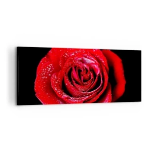 Impression sur toile - Image sur toile - Une rose rouge couverte de gouttes de rosée sur fond noir. - 120x50cm - C'est ça l'amour - Décoration murale moderne pour le salon et la chambre ARTTOR