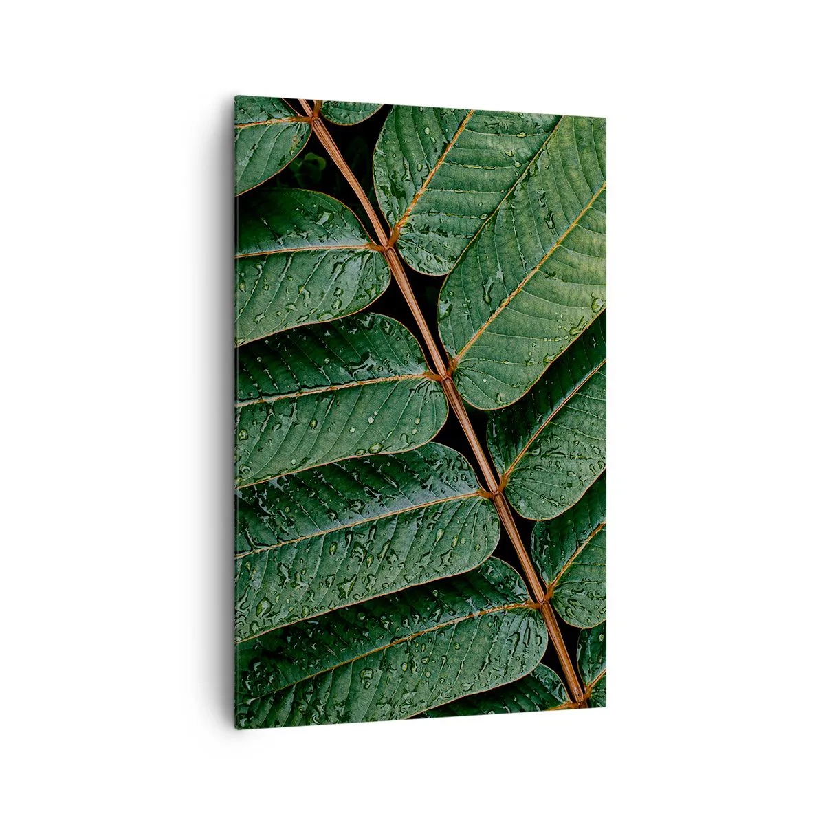 Impression sur toile - Image sur toile - Macro shot de feuilles vertes avec des gouttes de rosée - 80x120cm - Au rythme de la verdure - Décoration murale moderne pour le salon et la chambre ARTTOR