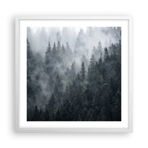 Affiche dans un cadre blanc - Poster - Aube de la forêt - 50x50 cm