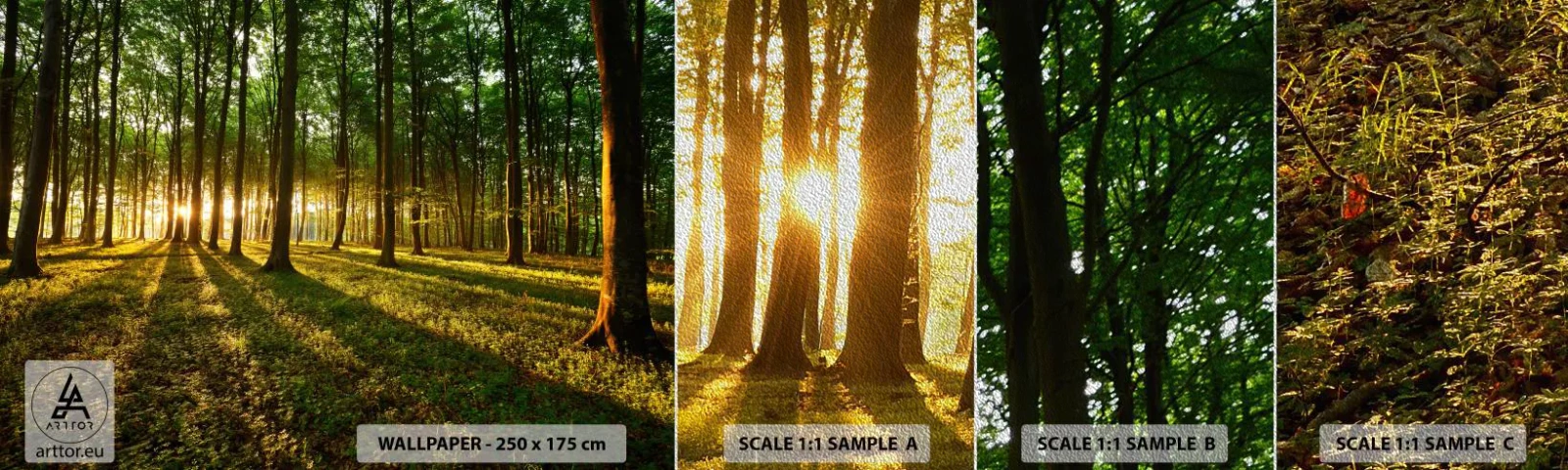 Échantillon de Papier Peint Premium Sand - Toutes les photographies de printemps - Paysage, Forêt, Nature - 100x30 cm