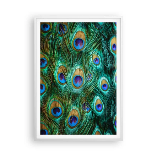 Affiche dans un cadre blanc - Poster - Un regard de paon - 70x100 cm