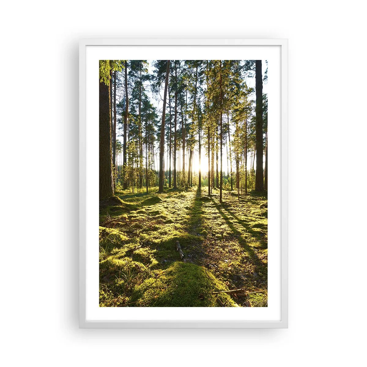 Affiche dans un cadre blanc - Poster - … Derrière les sept forêts - 50x70 cm