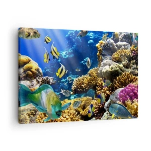 Impression sur toile - Image sur toile - Un récif corallien coloré avec des poissons tropicaux dans les profondeurs de l'océan. - 70x50cm - Beaucoup de circulation sur la route des vacances - Décoration murale moderne pour le salon et la chambre ARTTOR
