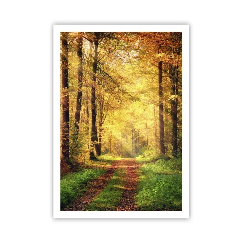 Affiche - Poster - Silence d'or en forêt - 70x100 cm