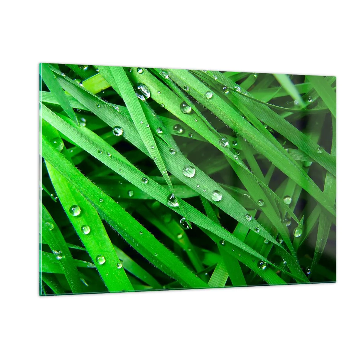 Impression sur verre - Image sur verre - Des brins d'herbe verts avec des gouttes de rosée - 120x80cm - Jouez dans le vert - Décoration murale moderne pour le salon et la chambre ARTTOR