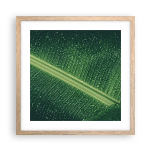 Affiche dans un chêne clair - Poster - Structure de vert - 40x40 cm