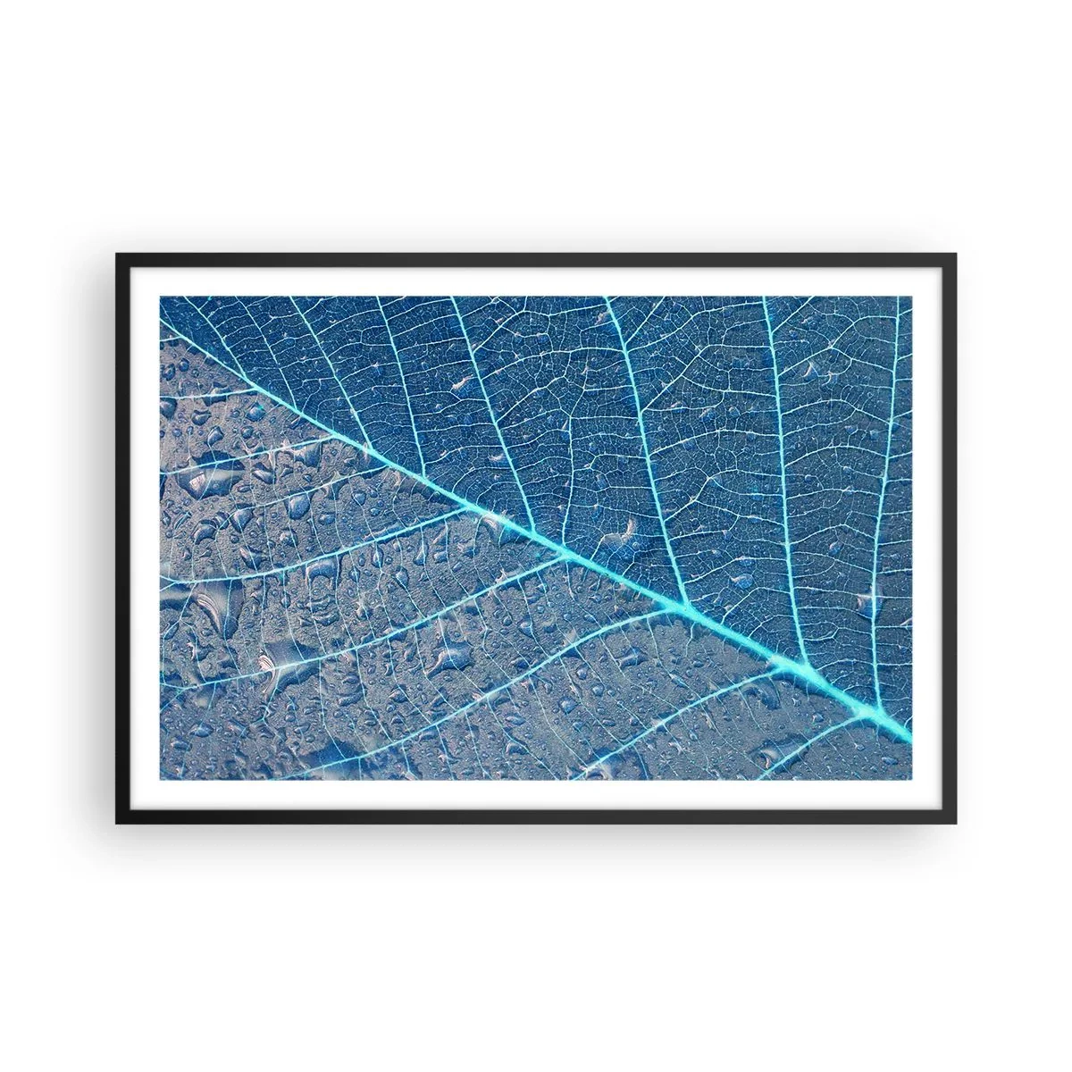Affiche dans un cadre noir - Poster - La vie en bleu - 91x61 cm