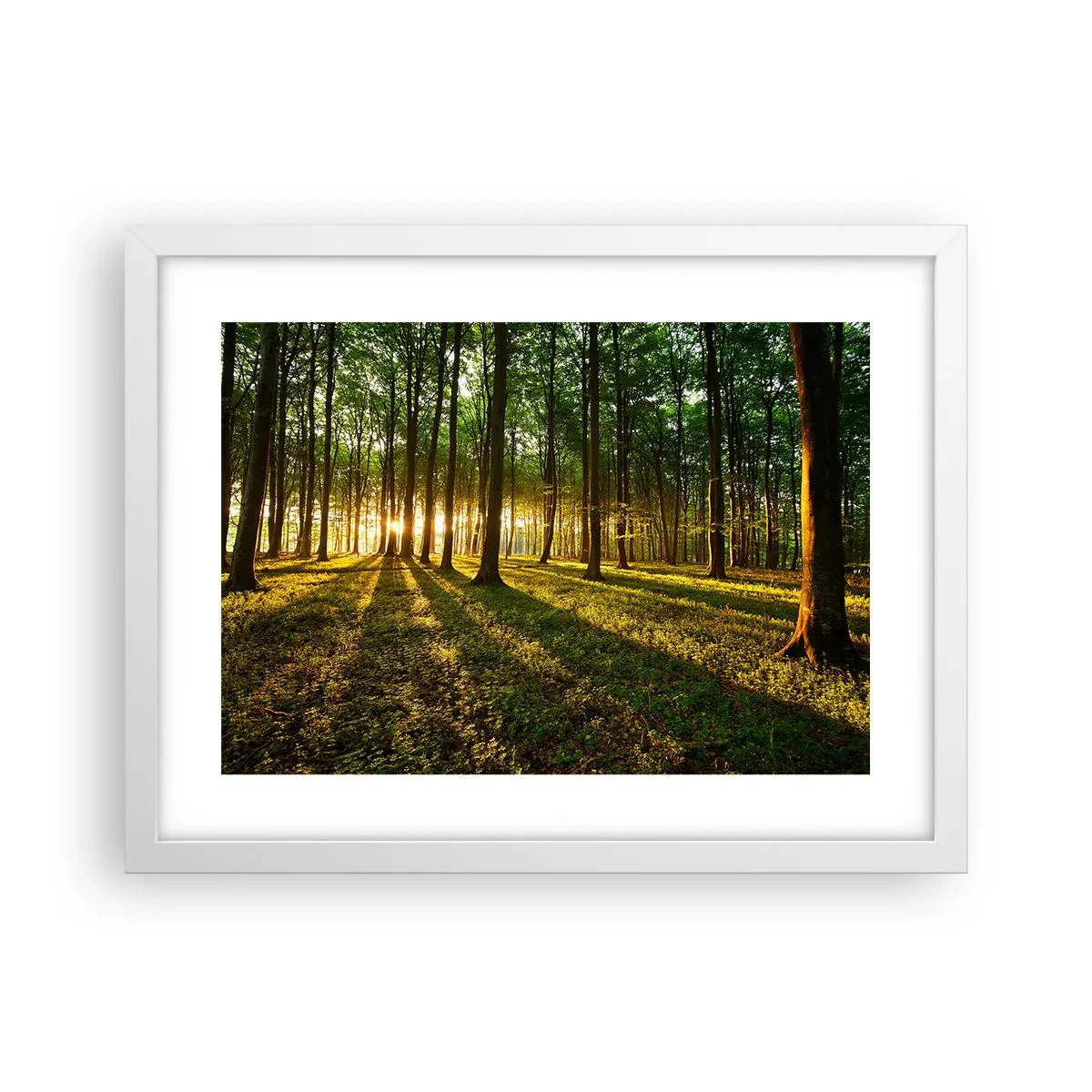 Affiche dans un cadre blanc - Poster - Toutes les photographies de printemps - 40x30 cm
