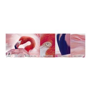 Échantillon de Papier Peint Premium Canvas - Beauté des oiseaux - Flamant, Oiseau, Nature - 100x30 cm