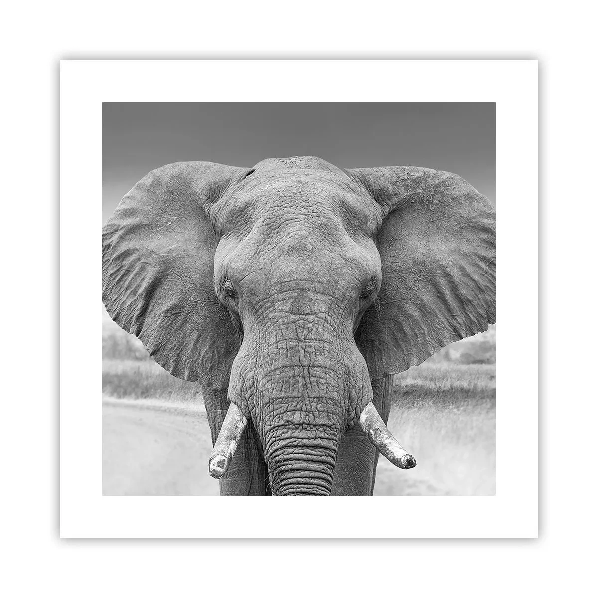 Affiche - Poster - Bienvenue dans mon monde - 40x40 cm