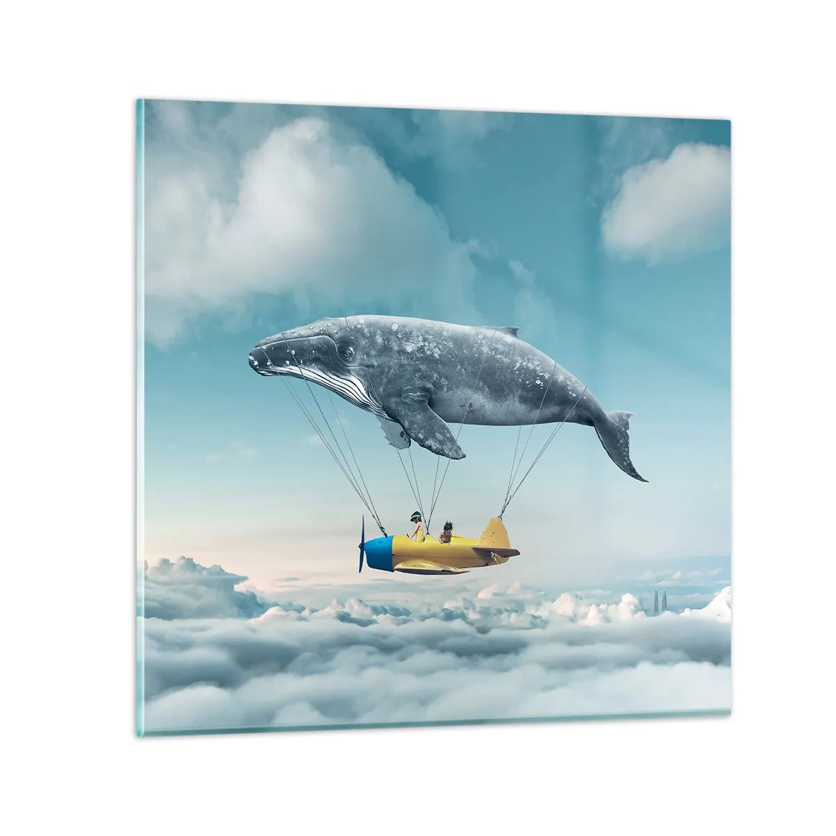 Impression sur verre - Image sur verre - Pourquoi pas? - 50x50 cm