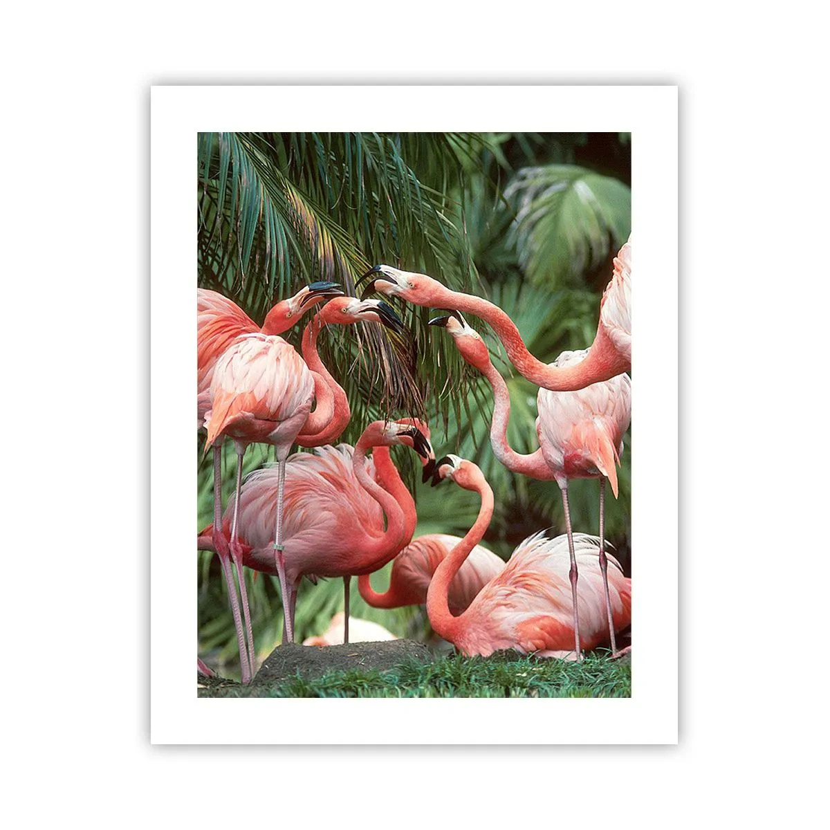 Affiche - Poster - Potins d'après-midi - 40x50 cm