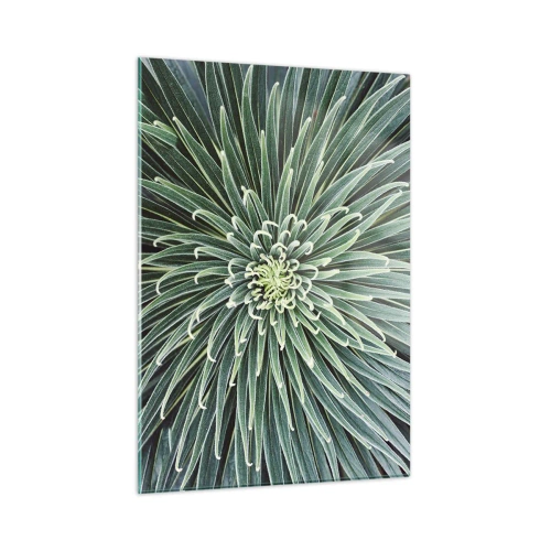 Impression sur verre - Image sur verre - Rosette symétrique de feuilles vertes en macrophotographie - 50x70cm - Naissance d'une étoile - Décoration murale moderne pour le salon et la chambre ARTTOR