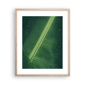 Affiche dans un chêne clair - Poster - Structure de vert - 40x50 cm