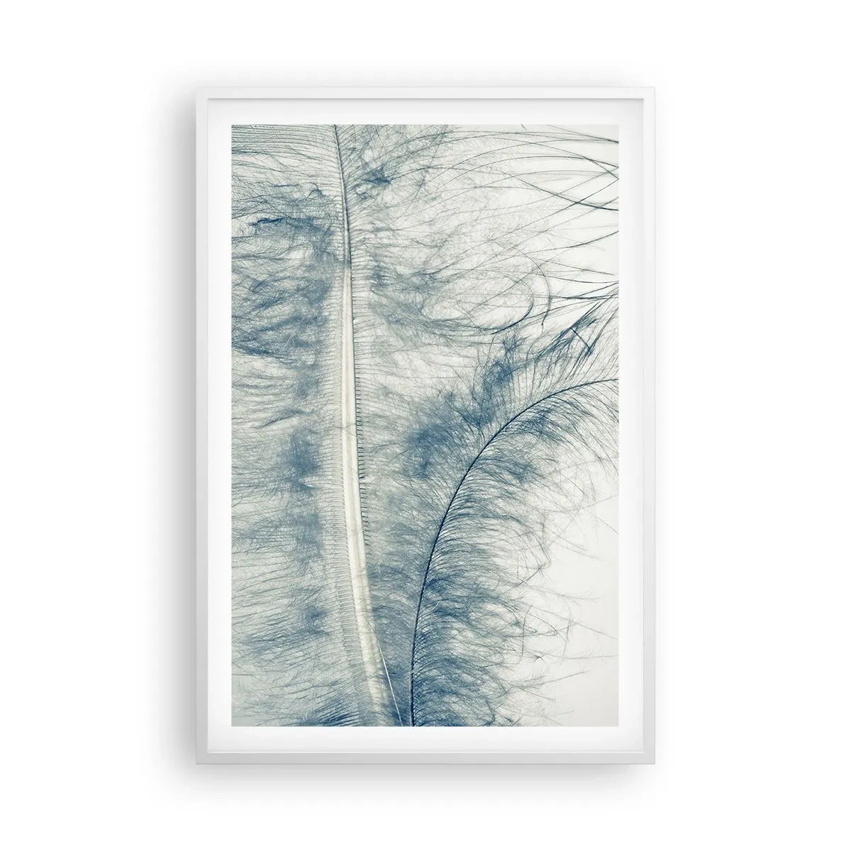 Affiche dans un cadre blanc - Poster - Les sept natures - 61x91 cm
