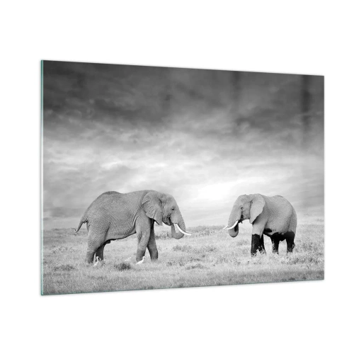 Impression sur verre - Image sur verre - Deux éléphants dans la savane dans des tons de noir et blanc - 100x70cm - Le gris est beau - Décoration murale moderne pour le salon et la chambre ARTTOR