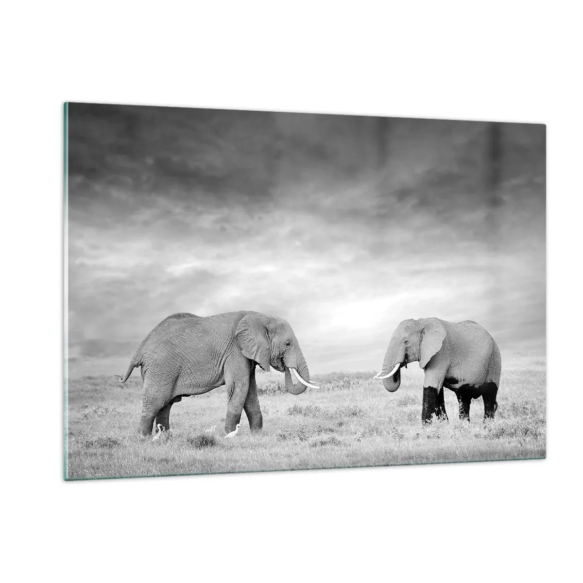 Impression sur verre - Image sur verre - Deux éléphants dans la savane dans des tons de noir et blanc - 120x80cm - Le gris est beau - Décoration murale moderne pour le salon et la chambre ARTTOR