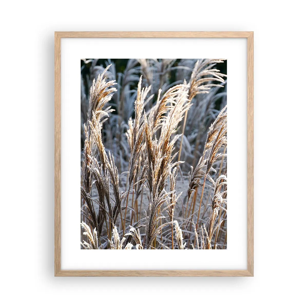 Affiche dans un chêne clair - Poster - Habillé de givre - 40x50 cm