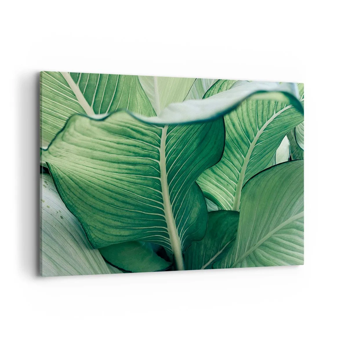 Impression sur toile - Image sur toile - Feuilles vertes avec des détails et une structure expressifs - 100x70cm - Une vie intensément verte - Décoration murale moderne pour le salon et la chambre ARTTOR
