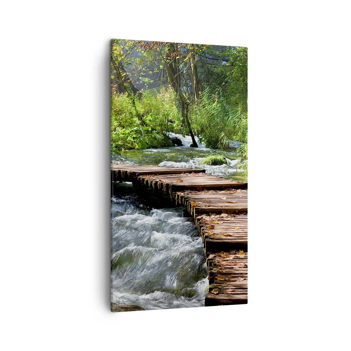 Impression sur toile - Image sur toile - Au-dessus de la cascade mousseuse - 45x80 cm