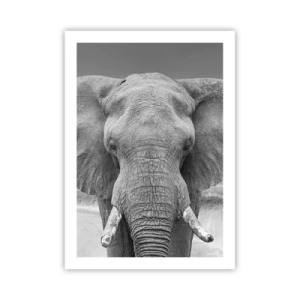 Affiche - Poster - Éléphant en photographie d'art en noir et blanc - 50x70cm - Bienvenue dans mon monde - Décoration murale moderne pour le salon et la chambre ARTTOR
