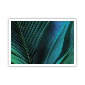 Affiche - Poster - Gros plan de feuilles vertes tropicales - 100x70cm - L'anatomie du vert - Décoration murale moderne pour le salon et la chambre ARTTOR